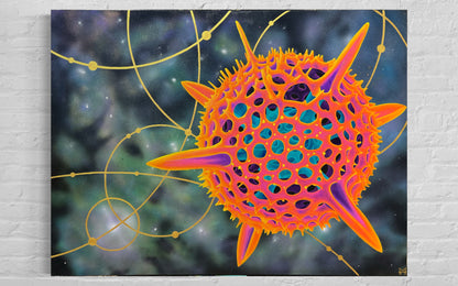 RADIOLARIAN I  - Limited Edition Print