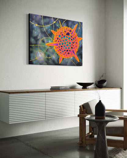 RADIOLARIAN I