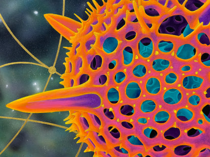 RADIOLARIAN I