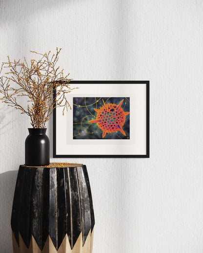 Radiolarian I Print by Molly Hark 2